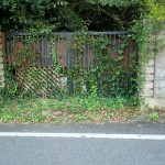 空き家を手にしたらどうするか?そのリスクと使い道