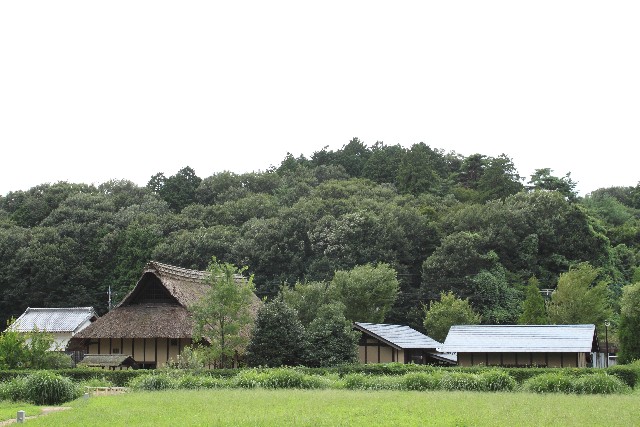 田舎の土地