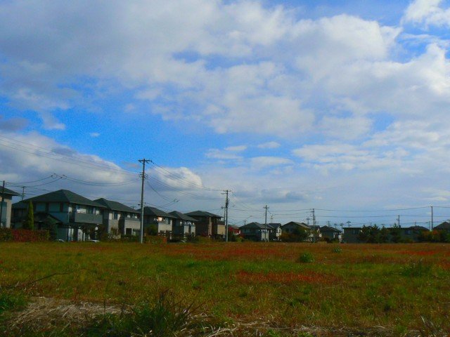 田舎の遊休地