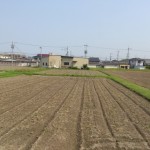 一般農地・生産緑地・市街化区域農地別の固定資産税の目安