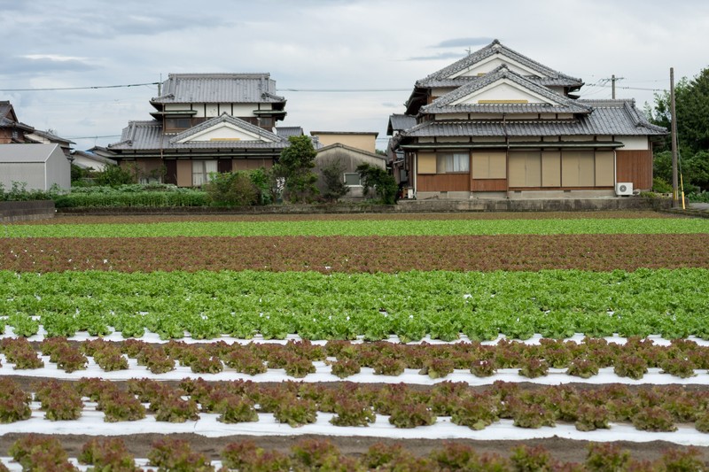 田園住居地域の特徴と土地活用の考え方