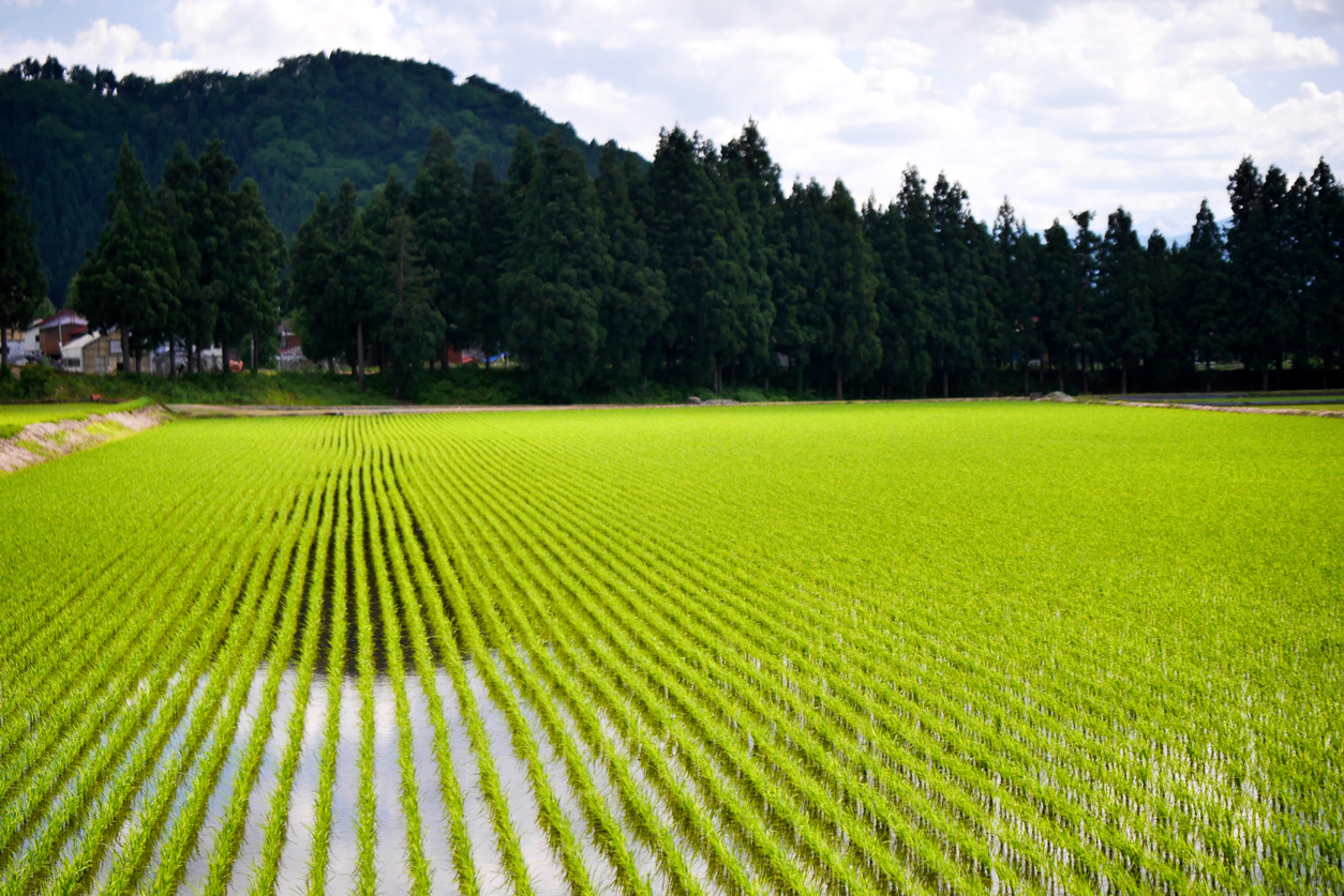 宅地 と 農地 の 価格 差