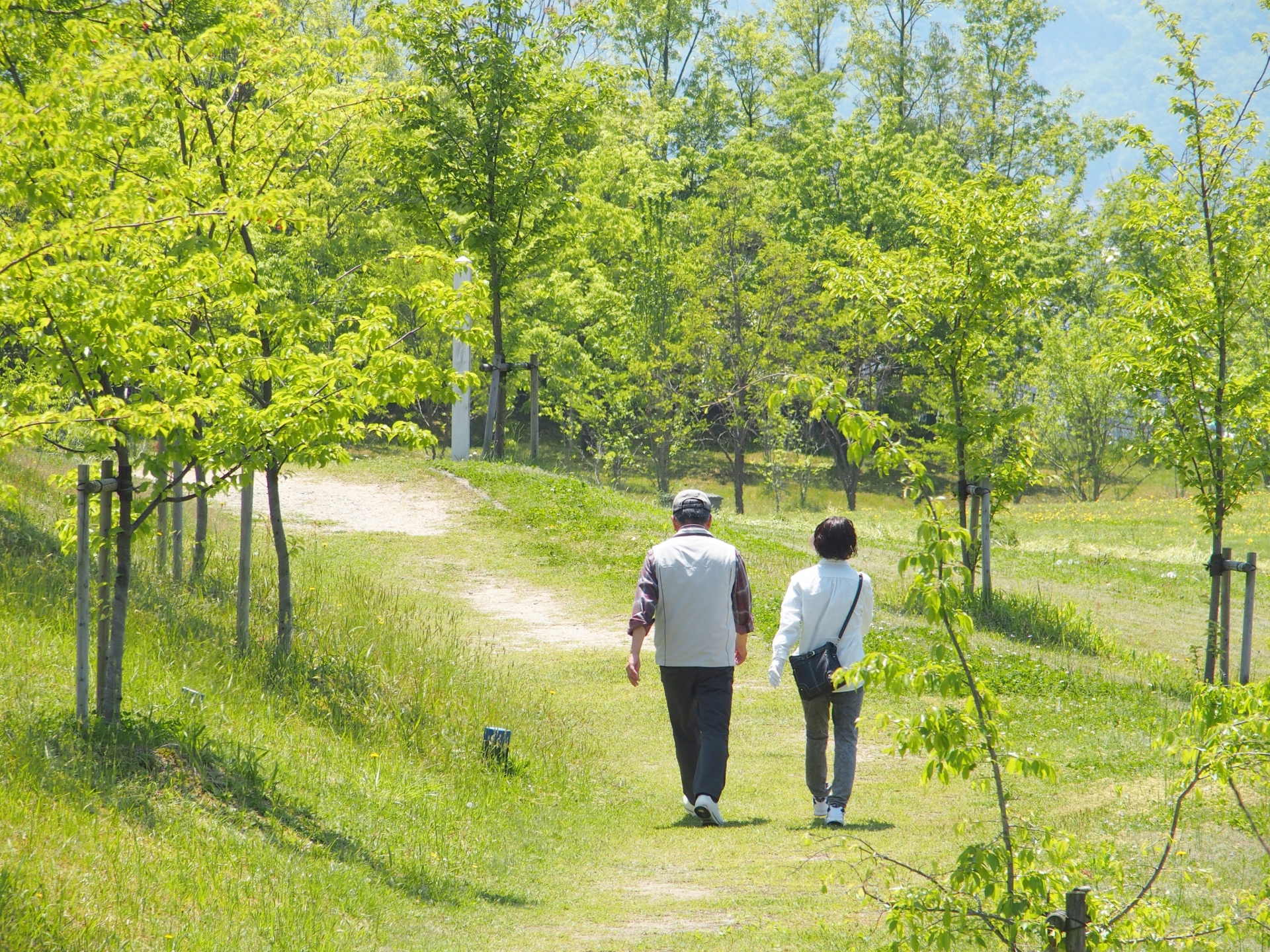 【定年後は引っ越し】今の家に住み続けるリスクと引っ越し先の正解